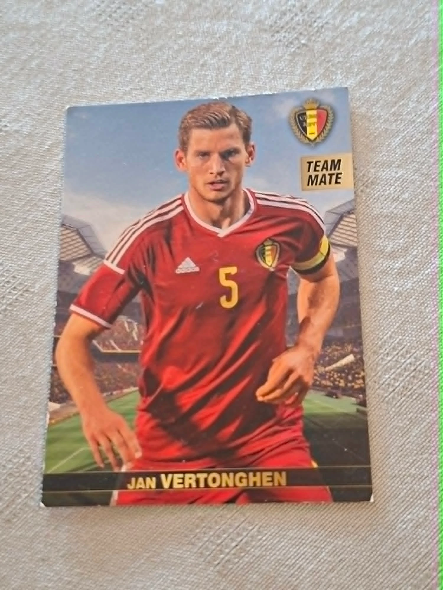 Panini / Voetbalkaart / Jan Vertonghen / Rode Duivels